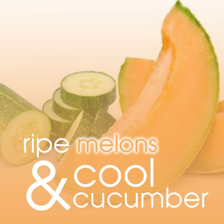body oil RUB 8oz<br>Summer Melon